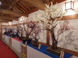 img0014.jpg