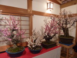 img0015.jpg
