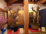 img0017.jpg