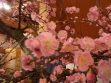 img0019.jpg