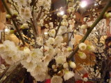 img0021.jpg