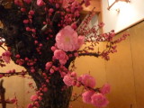 img0022.jpg