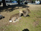 img0027.jpg