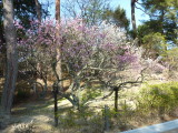 img0034.jpg
