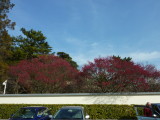 img0037.jpg