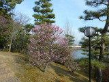 img0039.jpg