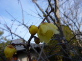 img0040.jpg