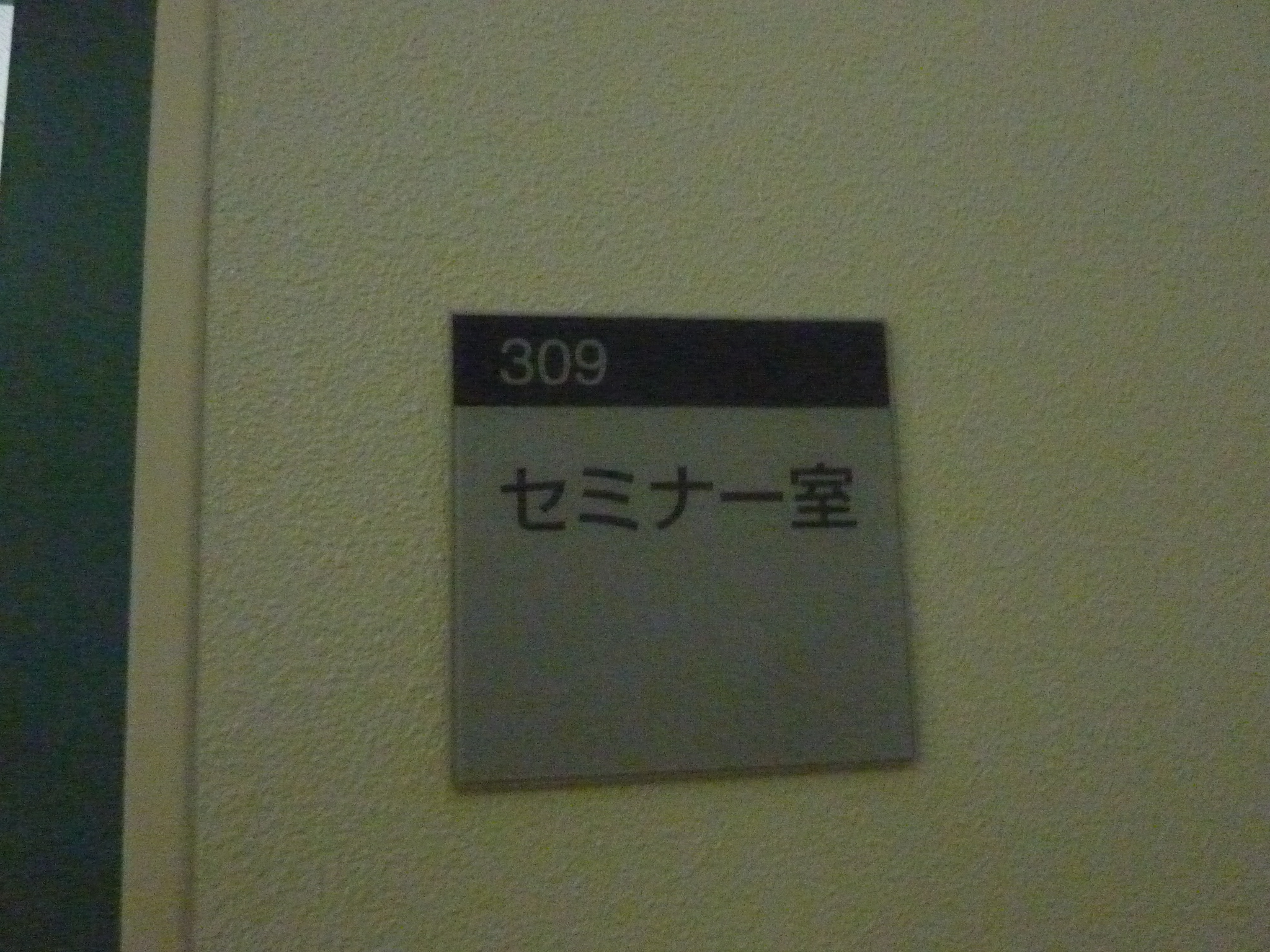 P1110005.JPG