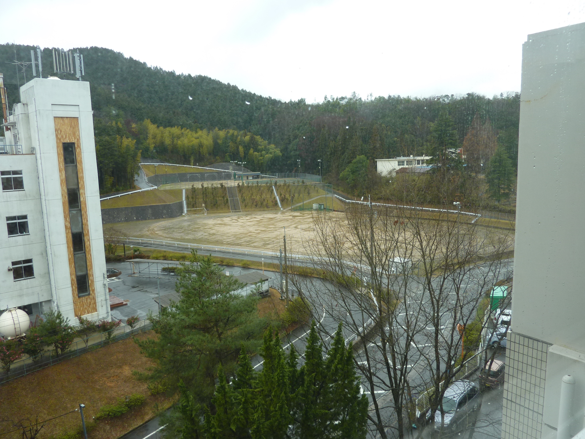 P1110007.JPG