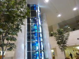 img0052.jpg