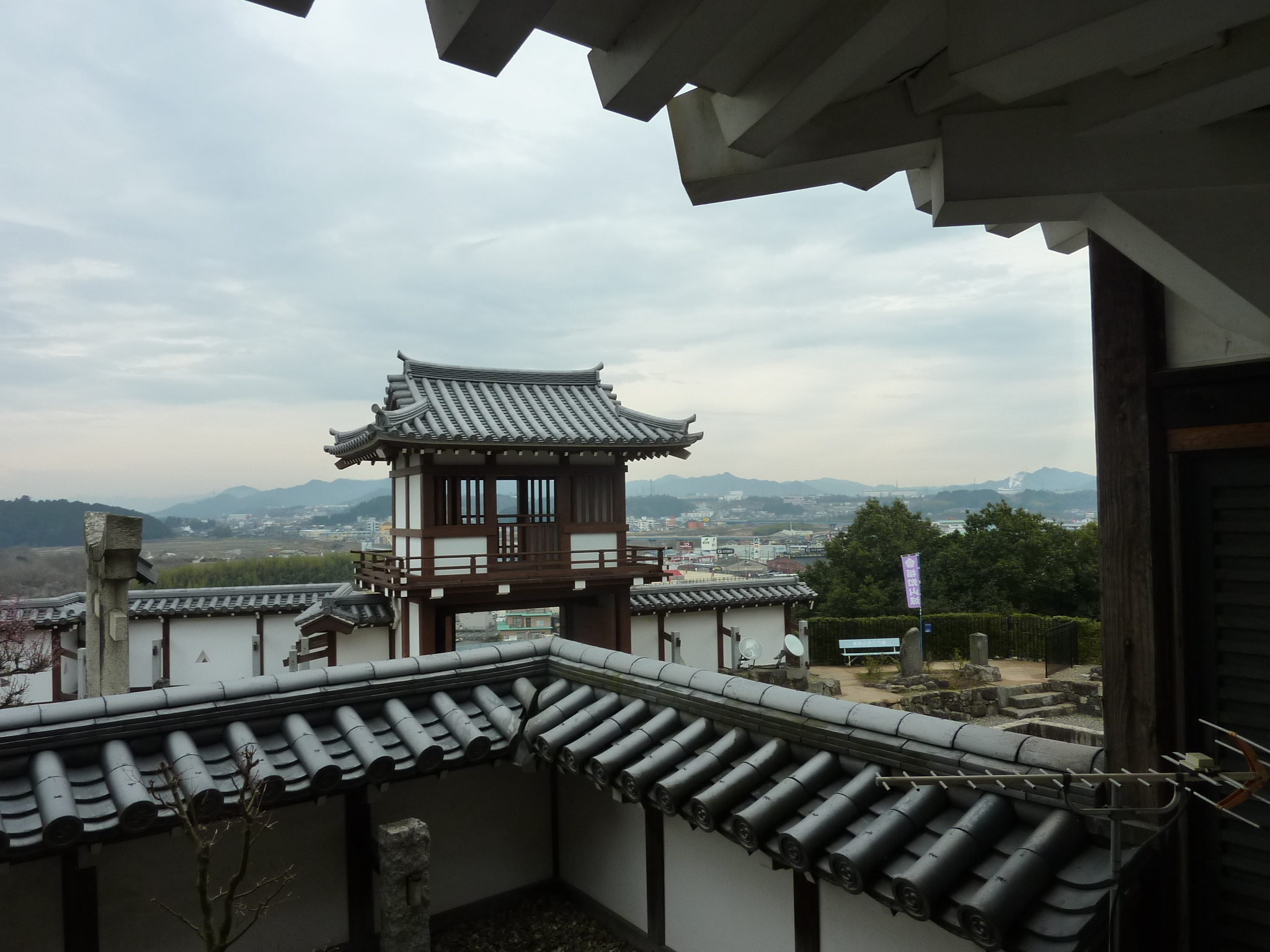 P1110079.JPG