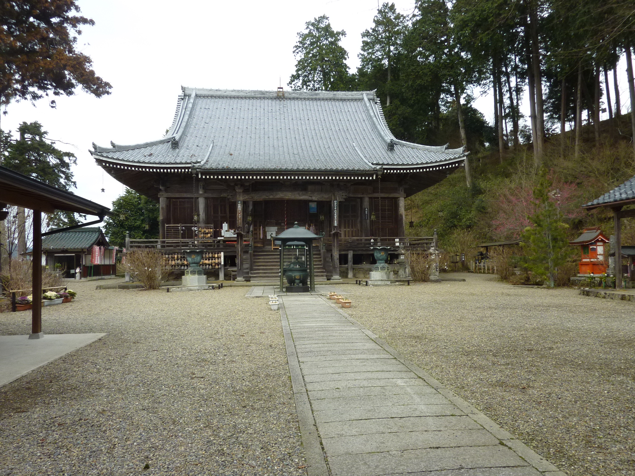 P1110101.JPG