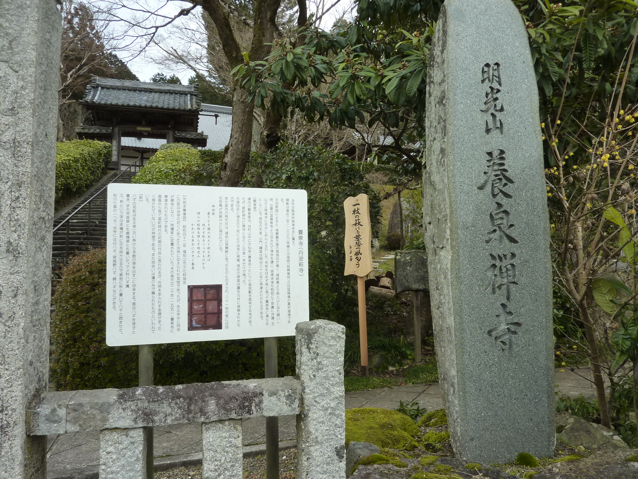 P1110104.JPG