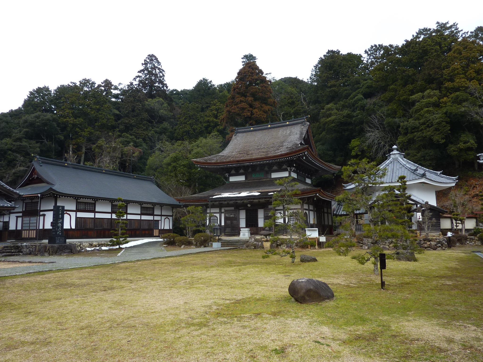 P1110115.JPG