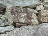 img0005.jpg