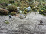 img0046.jpg