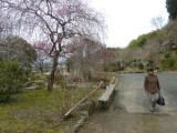 img0048.jpg