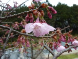 img0050.jpg