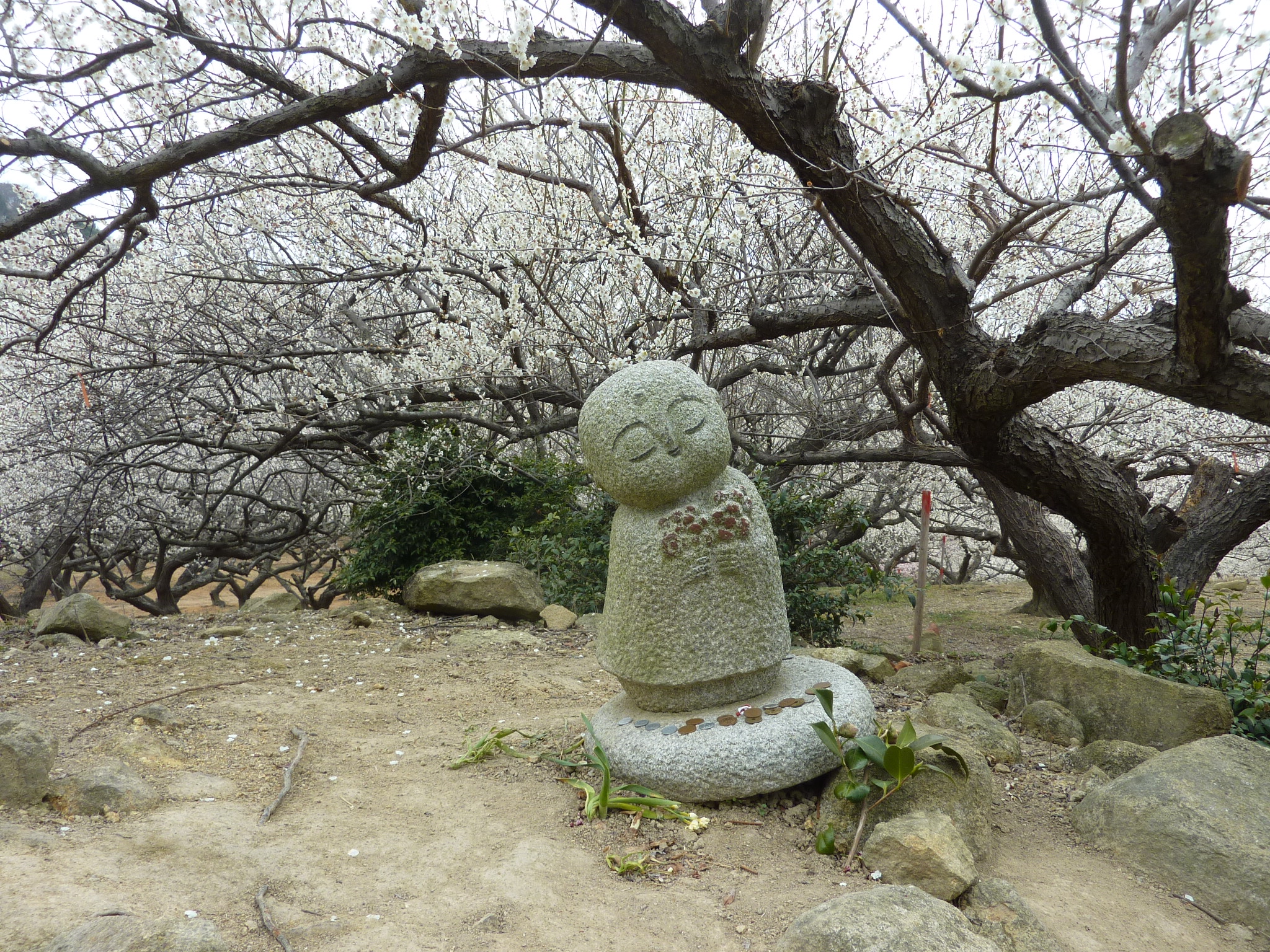 P1120193.JPG