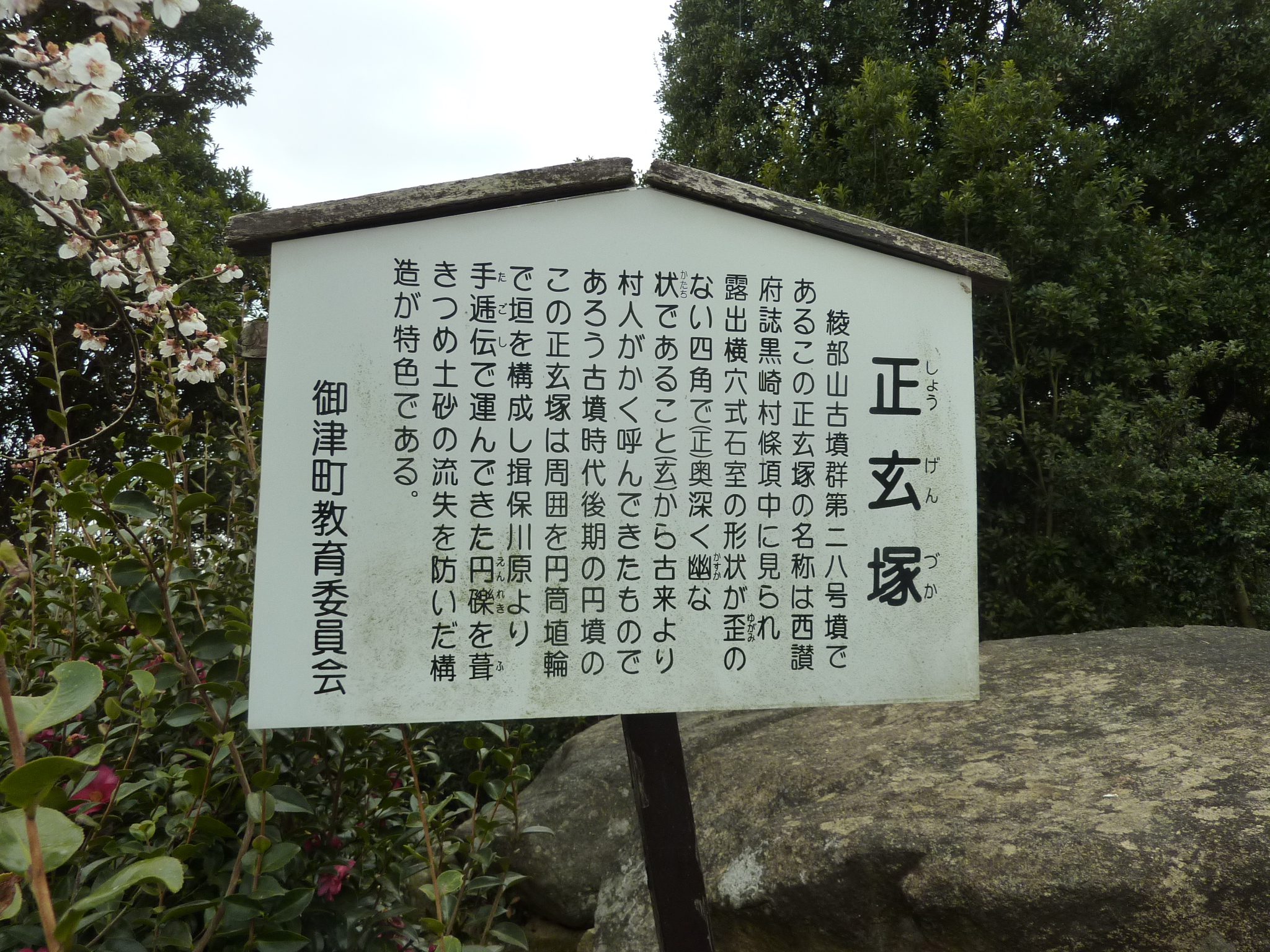 P1120207.JPG