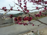 img0011.jpg