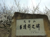img0016.jpg