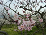 img0017.jpg