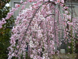 img0023.jpg