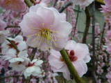 img0024.jpg