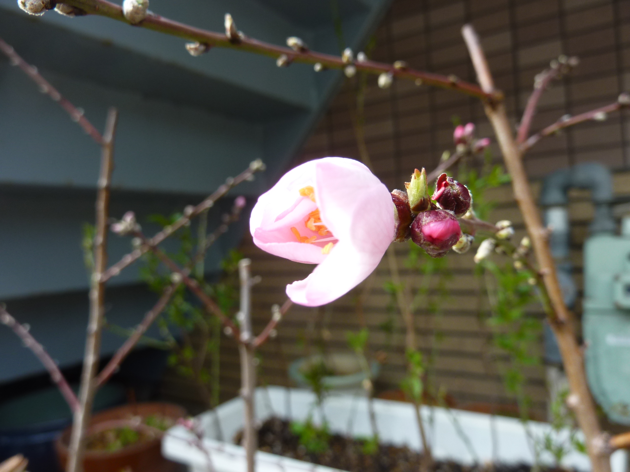 P1120219.JPG