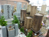 img0002.jpg