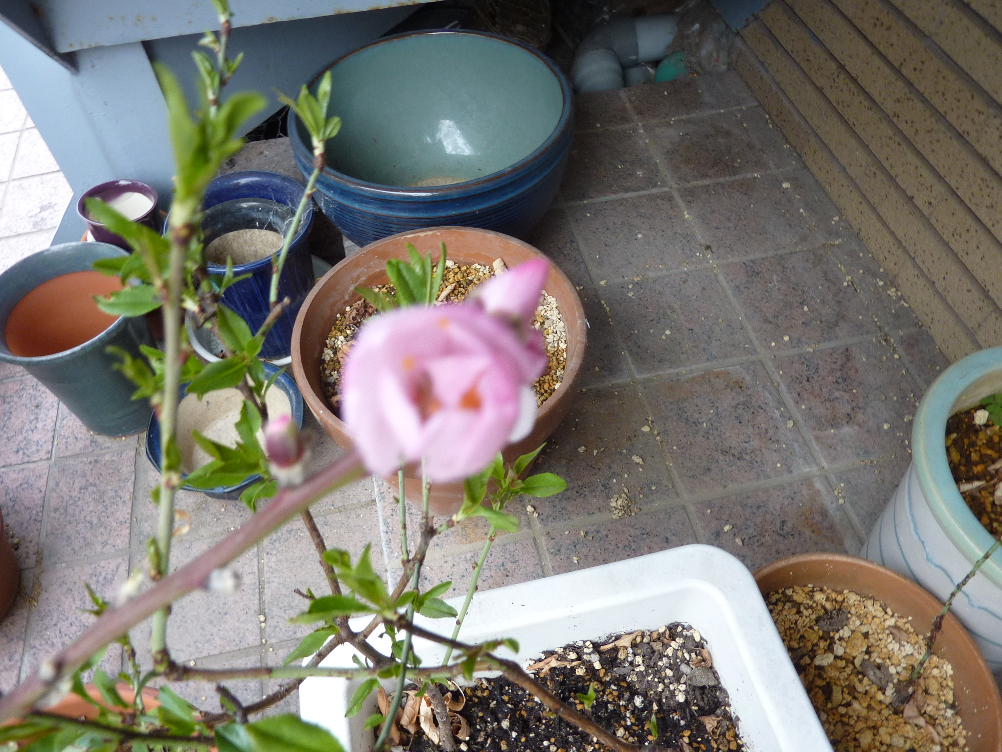 P1120229.JPG