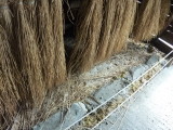 img0029.jpg