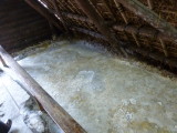 img0031.jpg