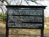 img0039.jpg