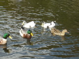 img0042.jpg