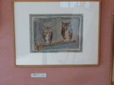img0048.jpg
