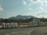 img0059.jpg