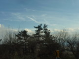 img0062.jpg