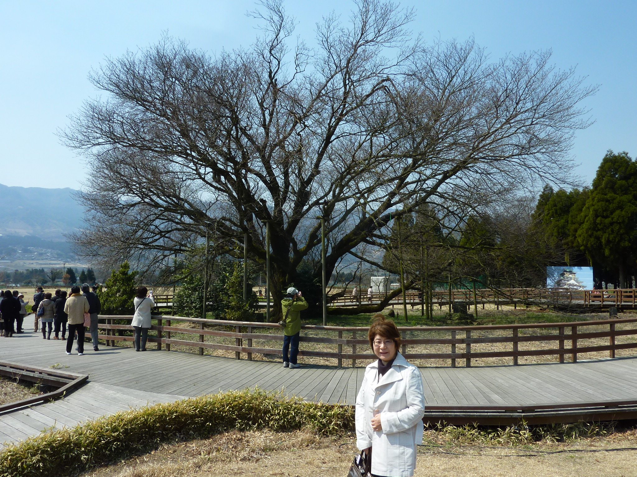 P1120430.JPG