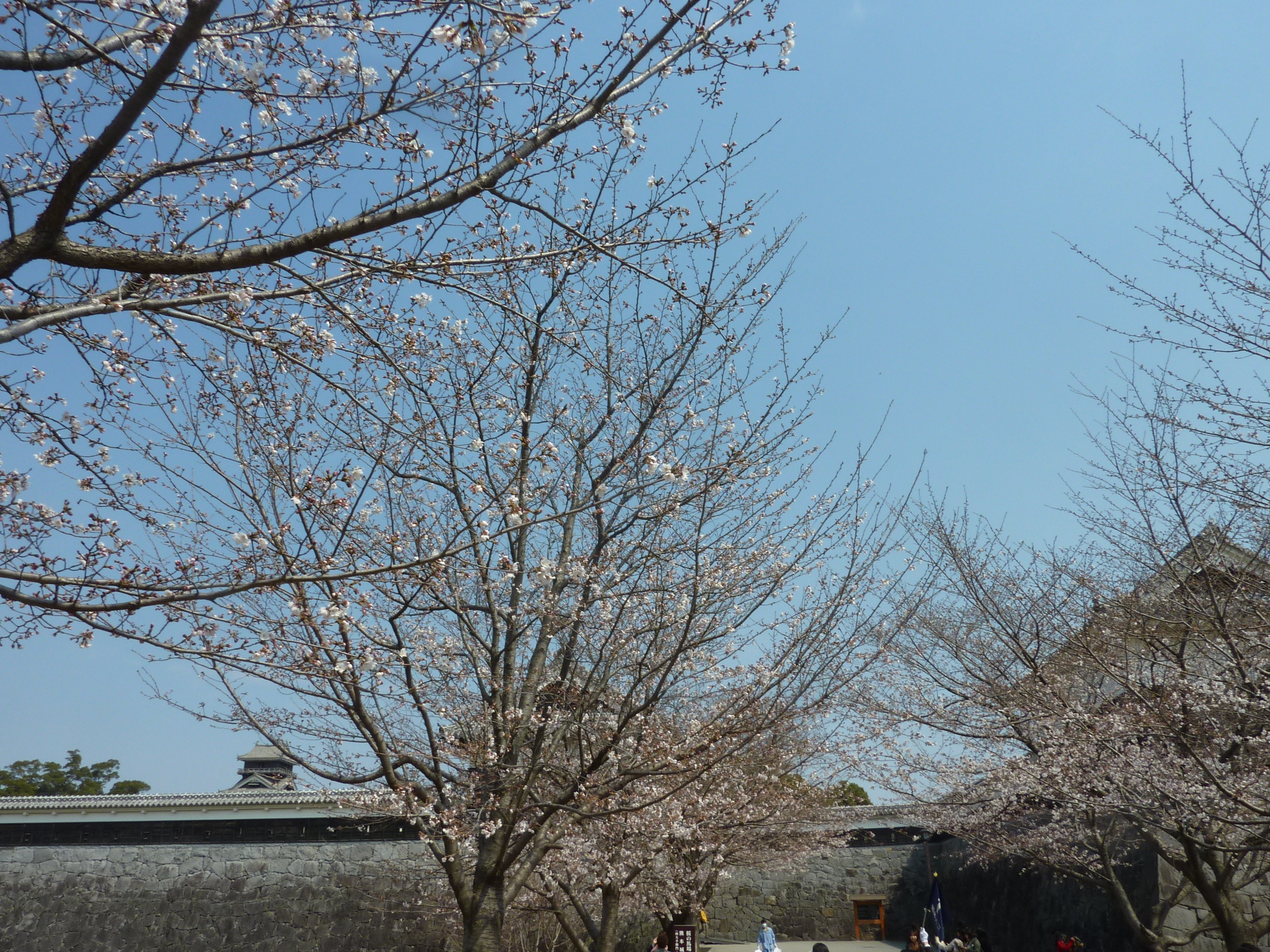 P1120443.JPG