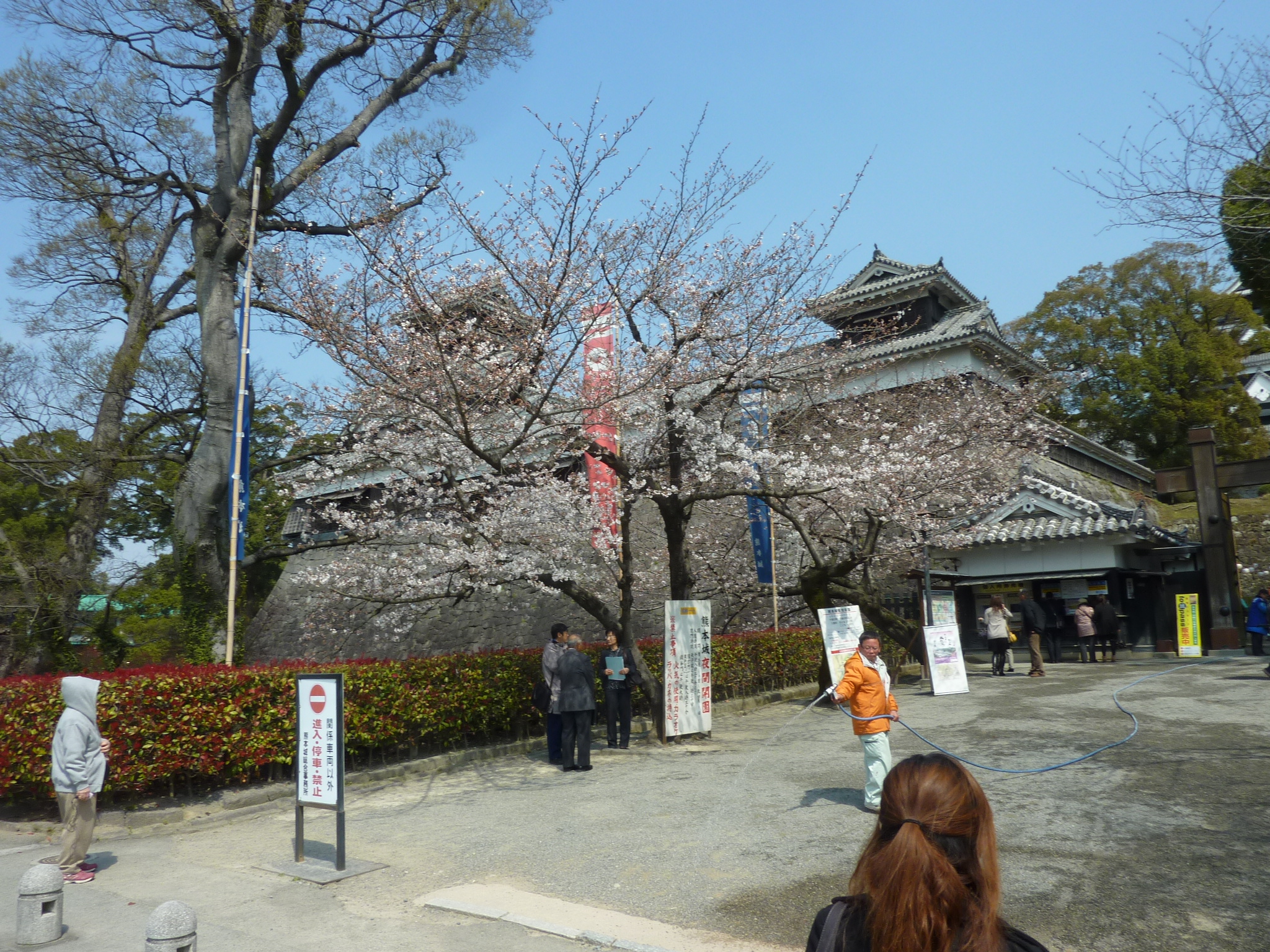 P1120446.JPG