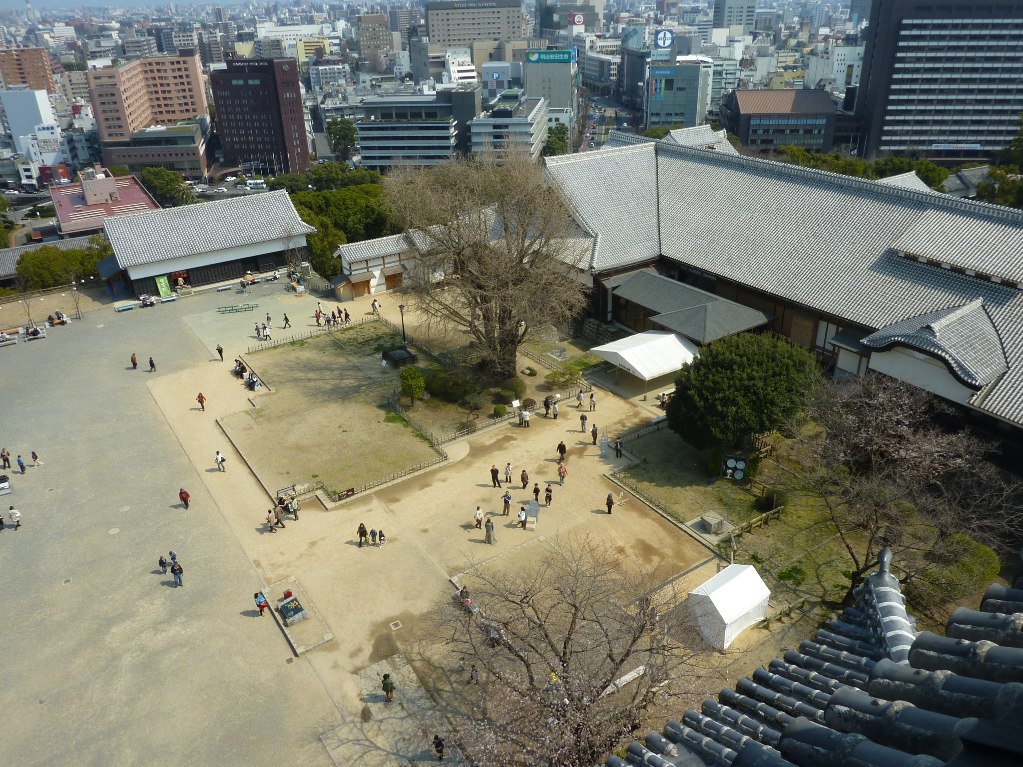 P1120472.JPG