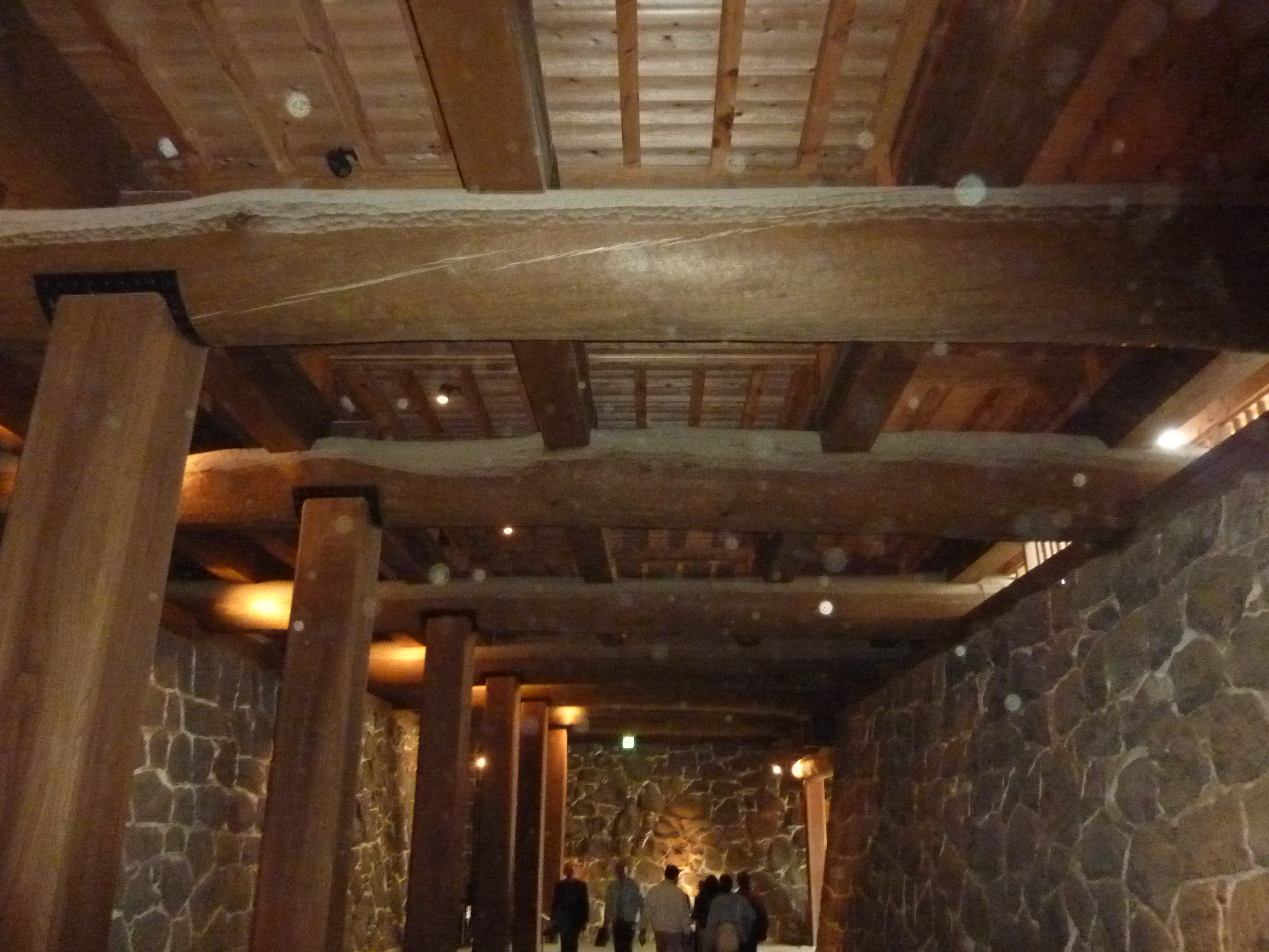 P1120490.JPG