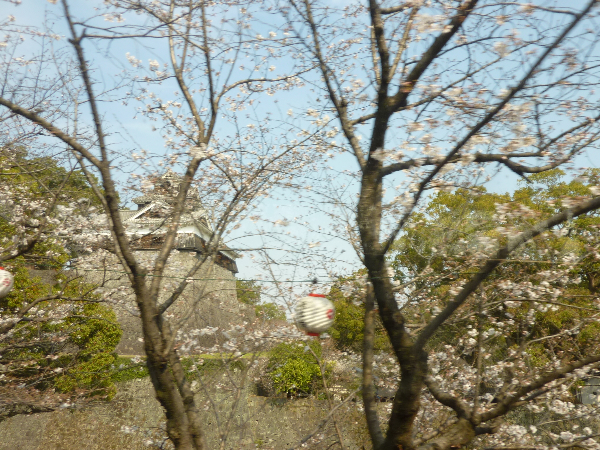 P1120516.JPG