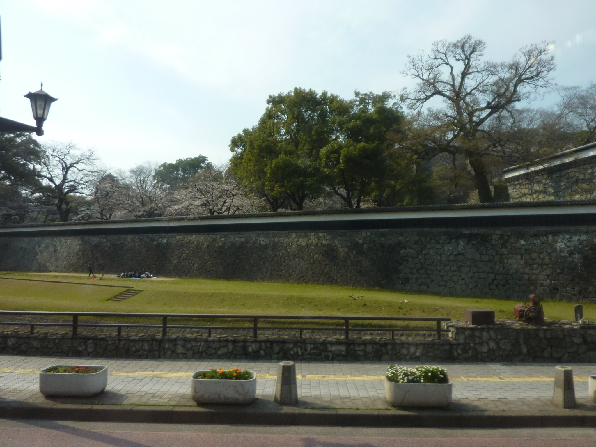 P1120521.JPG