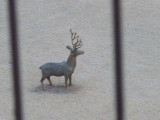 img0001.jpg