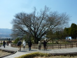 img0042.jpg
