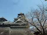 img0061.jpg