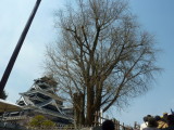 img0071.jpg